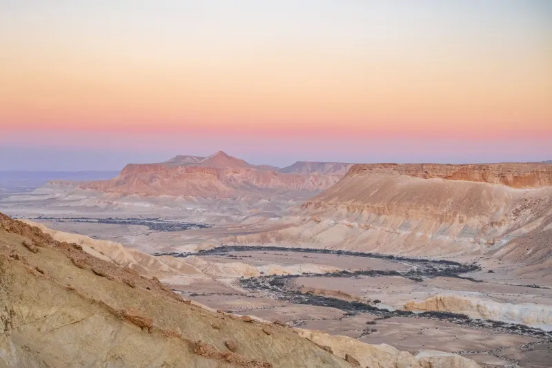 מה מסתתר בחושך: הפגישות עם הטבע הפראי שישראל לא מפרסמת