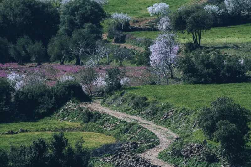 חורף ישראלי, שביל ריק: הסוד שסוכני הנסיעות לא מספרים לכם