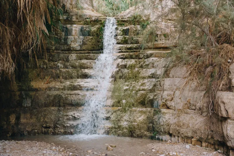 שביל על קצה הסכין: הסיפור של נחל ערוגות ומה שכמעט לא נשאר ממנו
