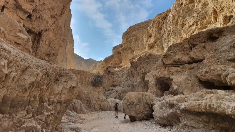 הנגב בבטן: למה אמריקאים מוצאים את עצמם בוכים על שביל שמעולם לא הכירו
